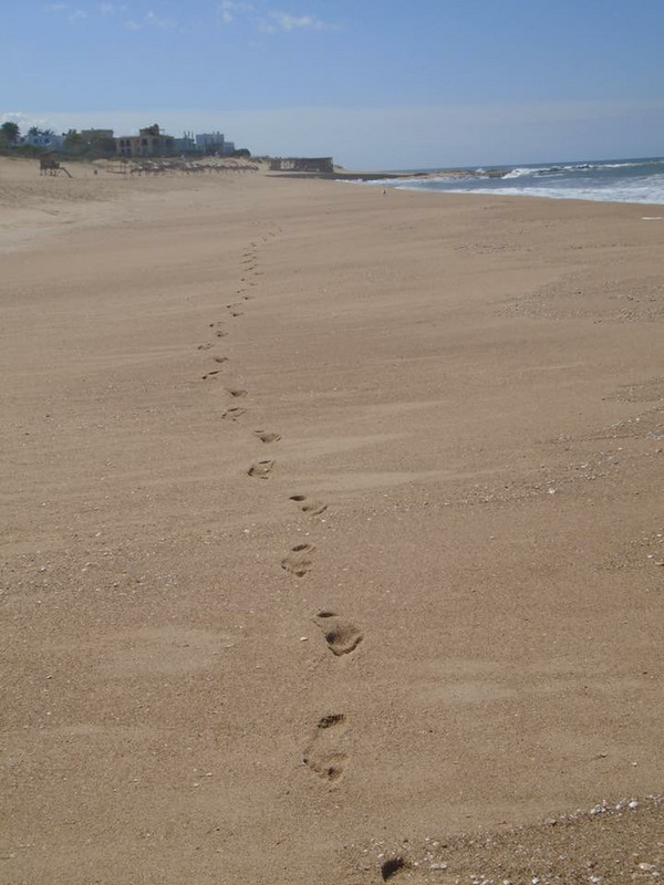 My footprints in the sand