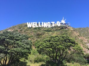 Wellington, ville cinématographique ! 