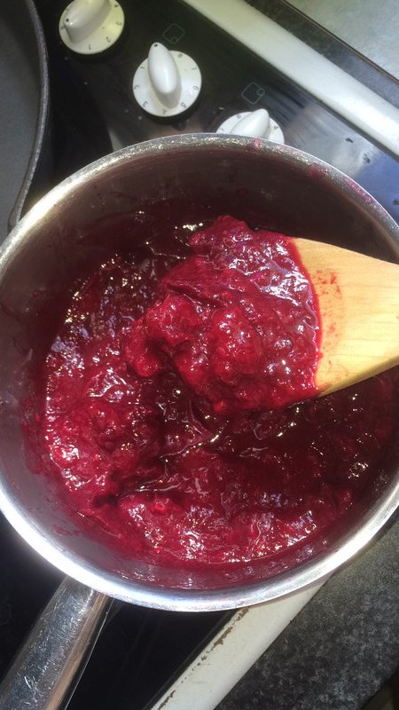 Mes occupations culinaire, compote de pêches