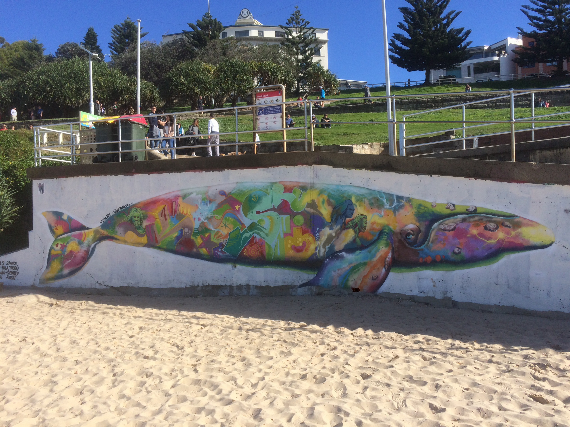 Street art bondi beach 1 Photo