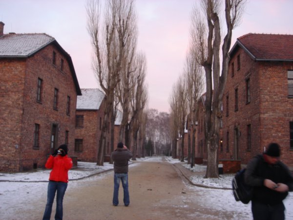 Concentration Camps - Auschwitz