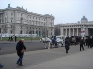 Horse and carriage rides through Vienna