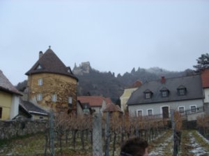 Looking up towards the tower above Durnstein