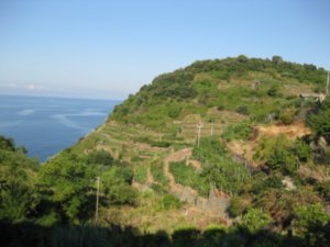 The view out from Corniglia