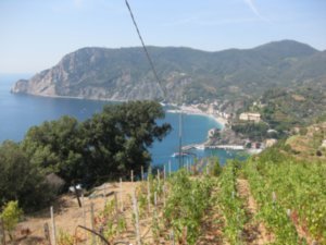 Monterosso in our sites