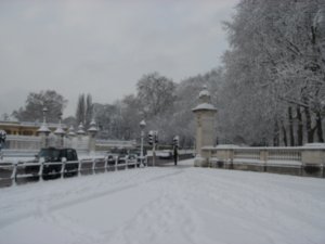 Along Buckingham Palace