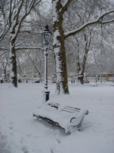 A picturesque sight in Green Park