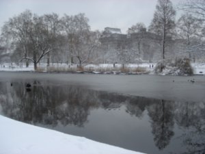 A semi-frozen lake in St James Park