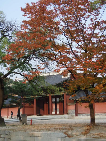 fall in korea