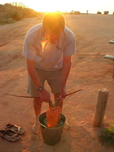 Ned's Camp Crayfish, Cape Range