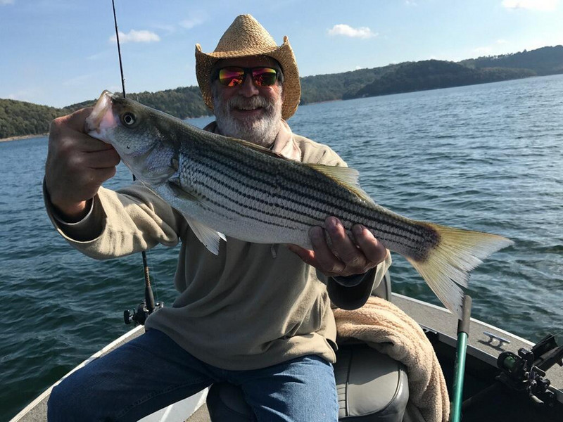First striper ever! Caught in Beaver Lake Arkansas