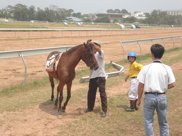 Horse and jockey ok!