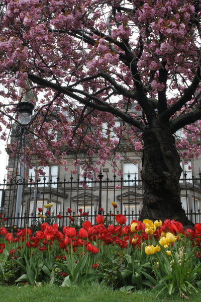 Edinburgh in spring
