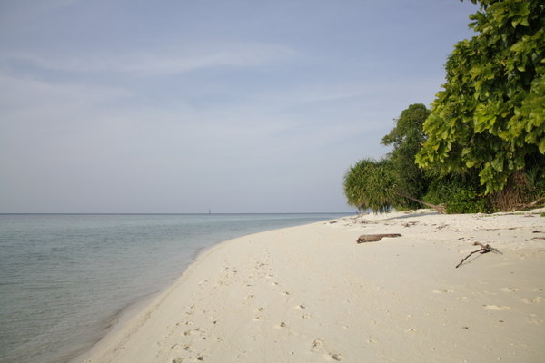 Lankayan Island shoreline