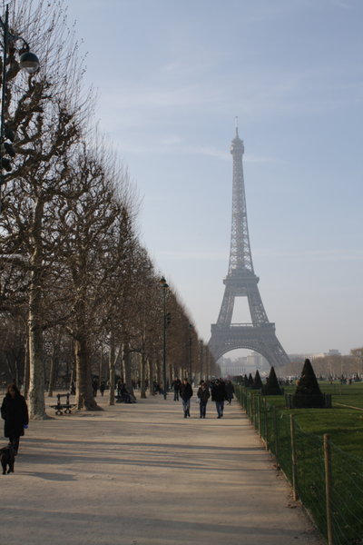Eiffel Tower from afar