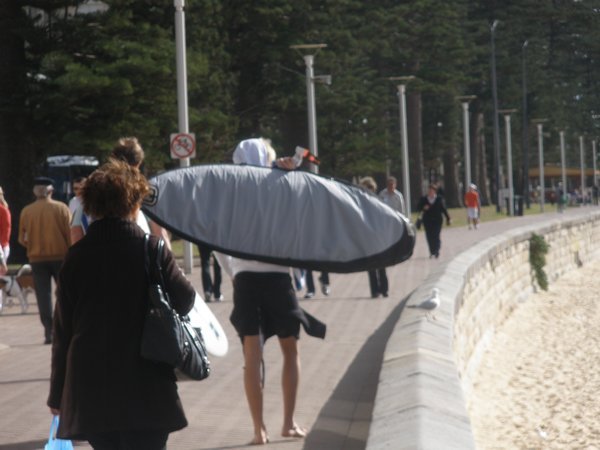 Manly Beach Surfers