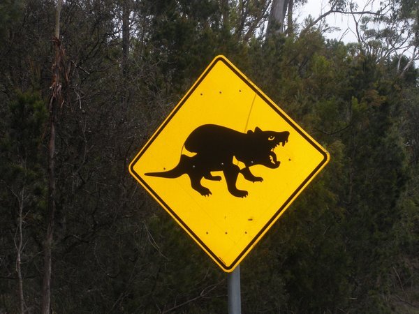 Warning - Animals Crossing