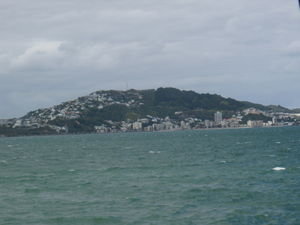 Wellington View