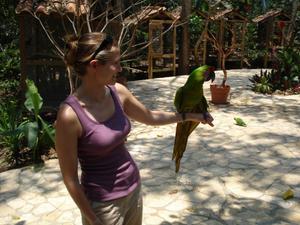 Amy meets the Macaw