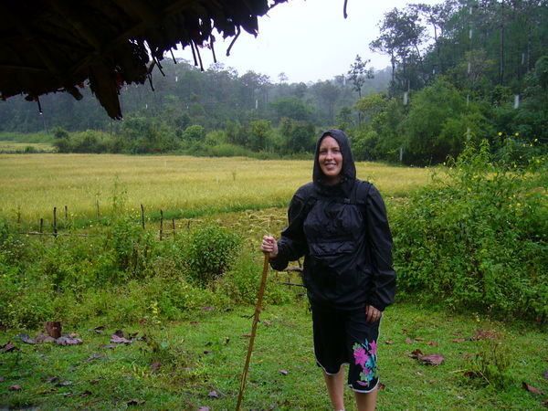 did I mention the rice fields and the rain?