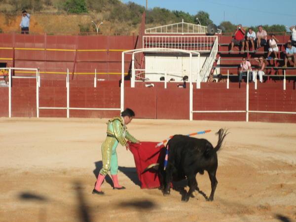 Bull fighting in Largos