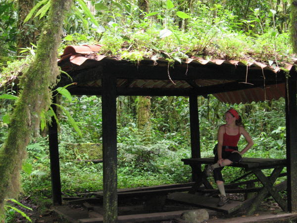 Jill on the Quetzal Trail