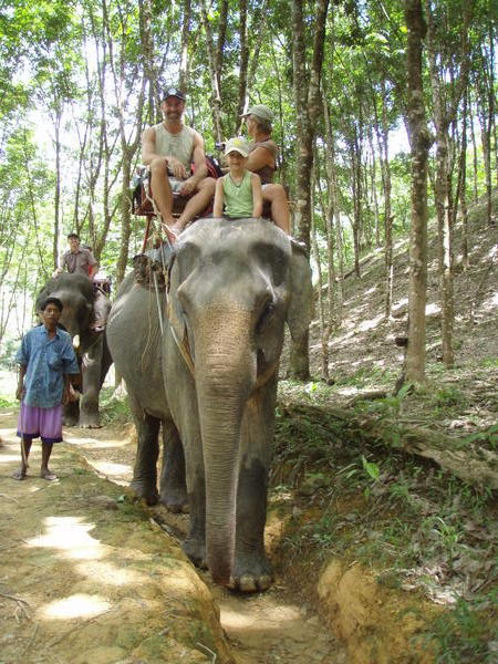 Khao Sok elephant trekking