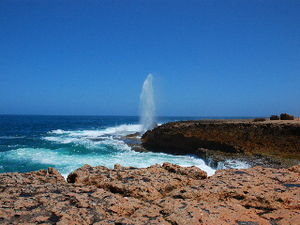 Blowhole in the rocks