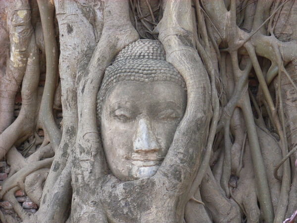 Buddha at Ayhtaya
