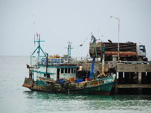Fishing boats at Koh Phangan