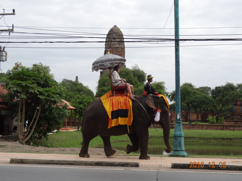 Un moyen de transport peu ordinaire en Thailande