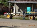 Un tracteur genre Laos