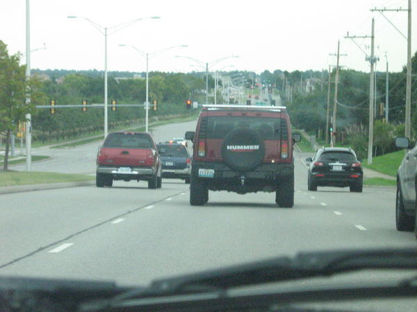 Hummers 