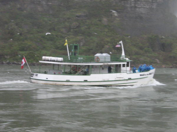 another Maid of the Mist boat
