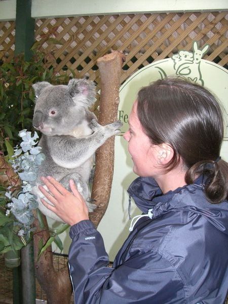 Me and a koala