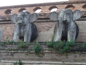 The elephant guards