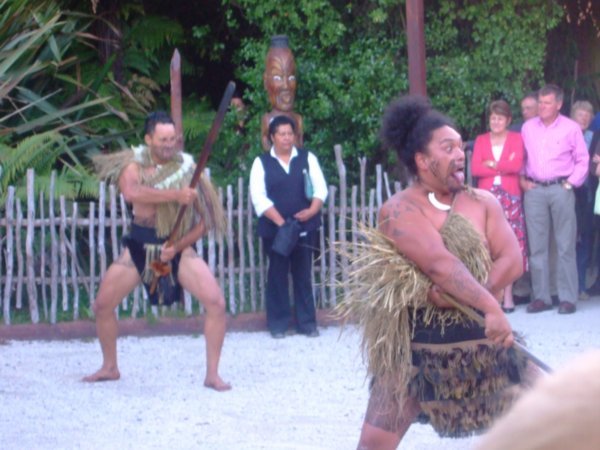 Maori Night