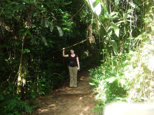 In the jungle