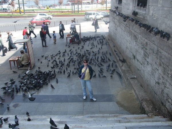 pigeons by the New Mosque
