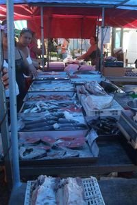 sunday fish market in marsaxlokk