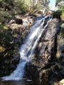 Steavenson Falls