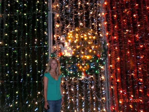 Me in front of a twinkly tinselated flag!