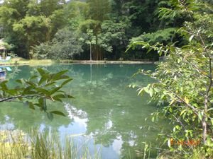 The Pond at Finca Ixobel