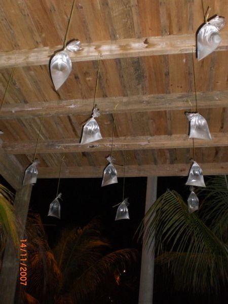 Water bags hanging from ceiling