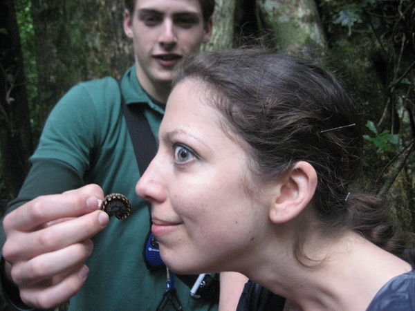 Hannah sniffing a milipede!
