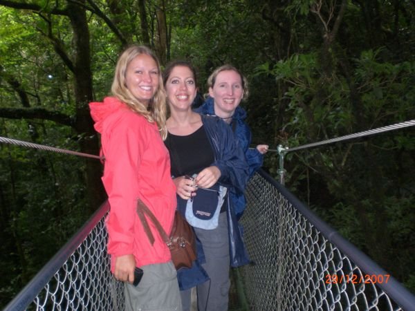 On the canopy bridges