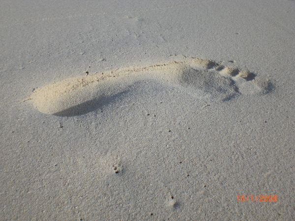 My footprint!