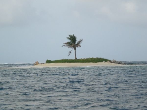 Tiny island with only 1 tree on it!
