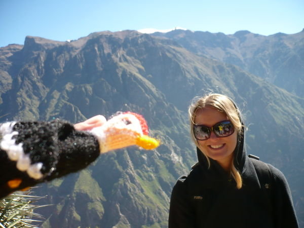 Getting VERY close to a condor!