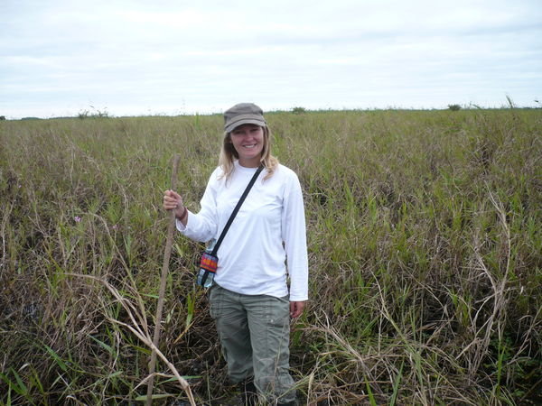 Walking through the swampy pampas, looking for anacondas!